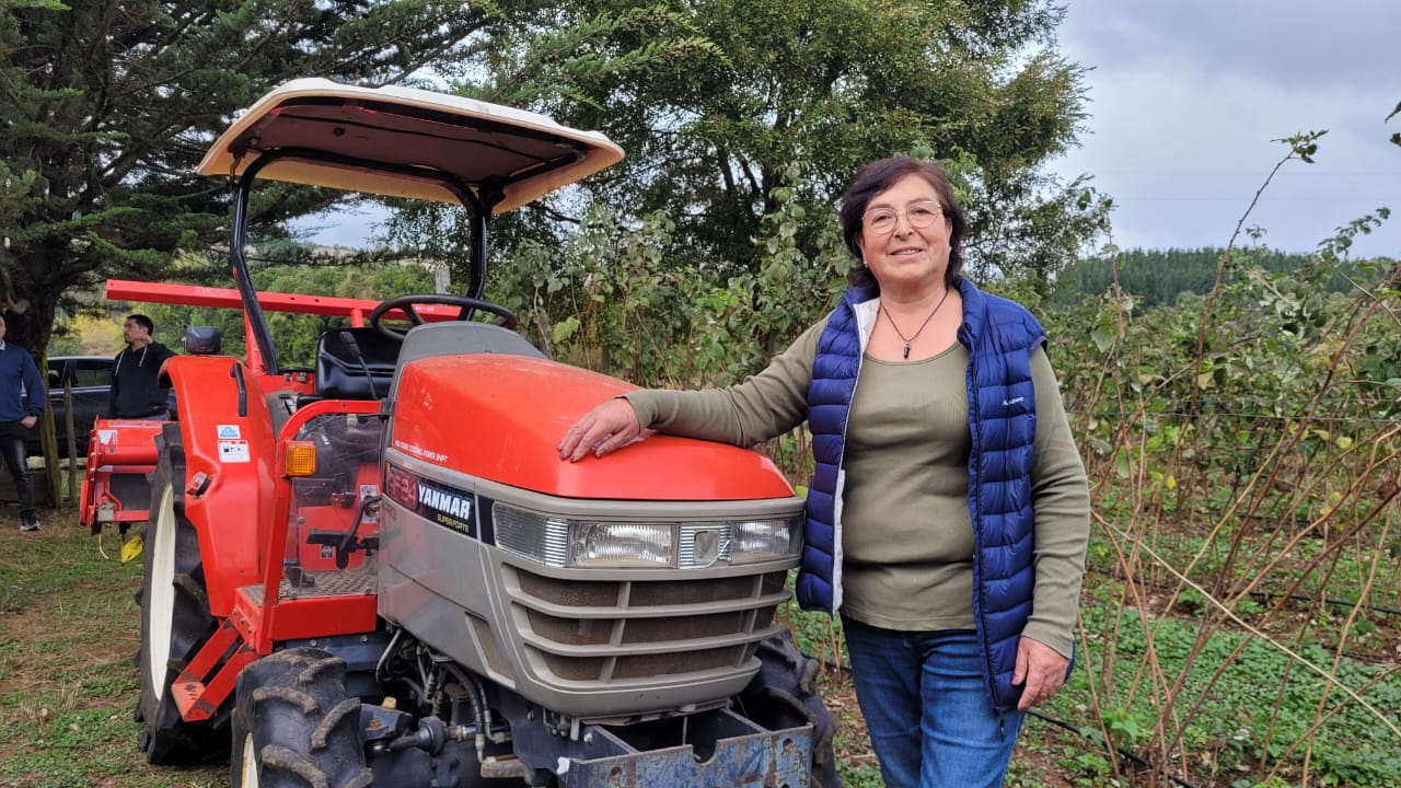 GOBIERNO REGIONAL ABRE CONCURSO PARA PEQUEÑOS PRODUCTORES AGRÍCOLAS DE LA COSTA ARAUCANÍA