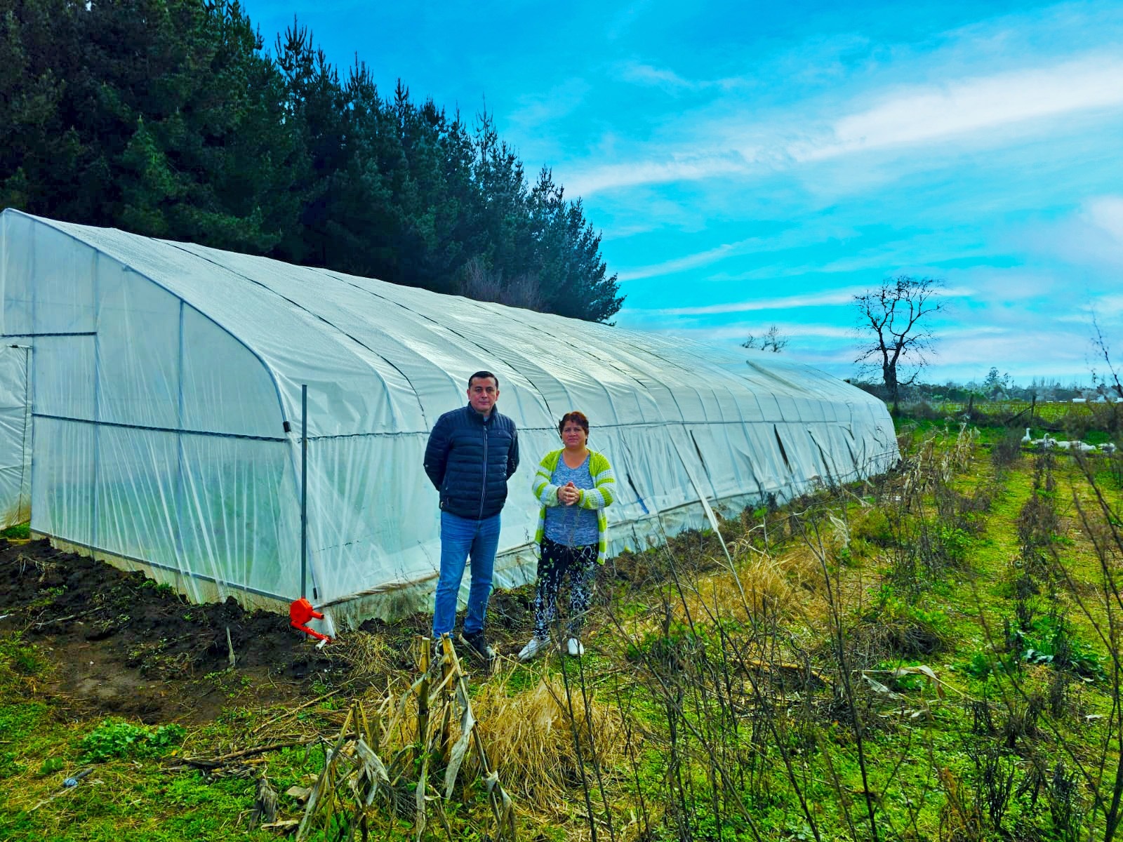 AGRICULTORES DE LA COSTA ARAUCANÍA DESARROLLAN SUS PROYECTOS GRACIAS AL APOYO DEL GOBIERNO REGIONAL