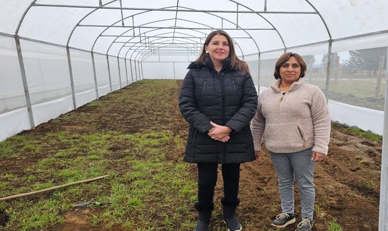 PROGRAMA DEL GOBIERNO REGIONAL POTENCIA EMPRENDIMIENTOS FEMENINOS EN LA COSTA ARAUCANÍA